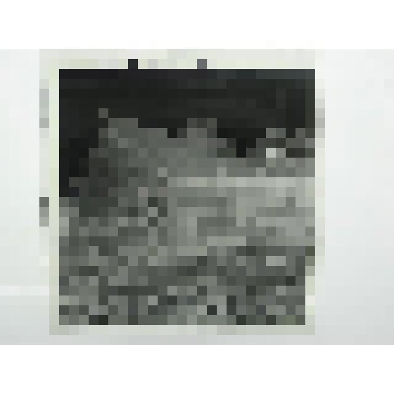 Дом Баранчиковых. Ул. Красный путь. 1880-е гг. Челябинская  обл., Кусинский р-н, с. Медведевка. Дом Баранчиковых. Ул. Красный путь. 1880-е гг. Хозяйственные постройки. Общий вид со стороны огорода