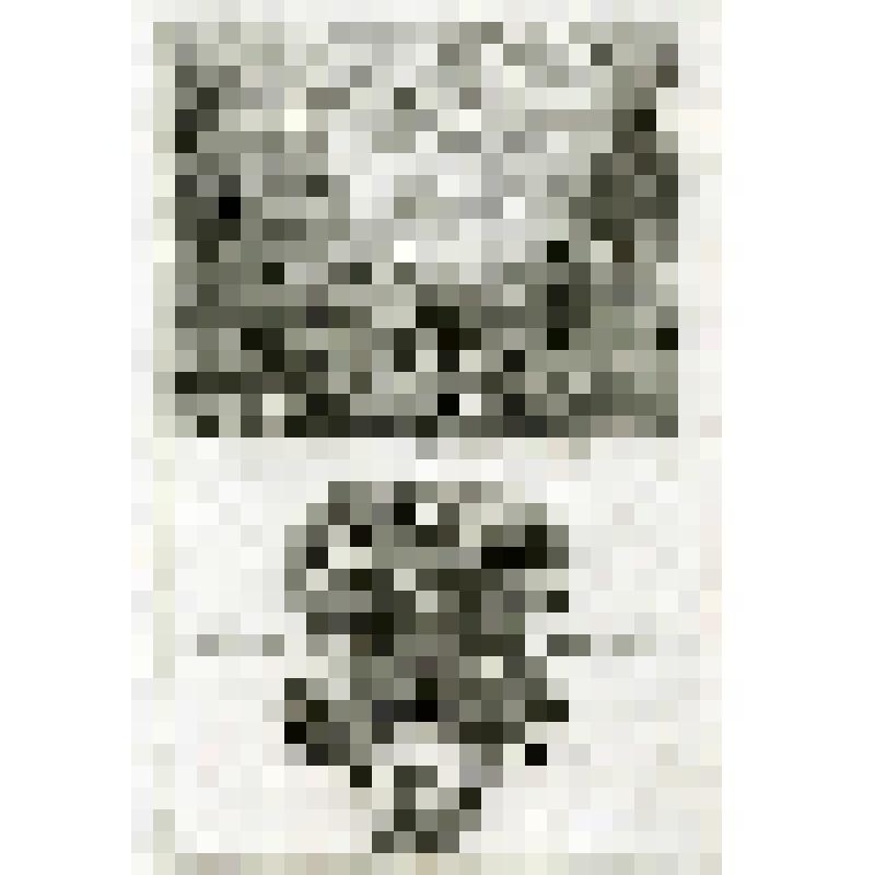 Офорт. Лист 114. Видение Исаии в храме. Сожжение свитка Иеремии (Ис. 6; Иер. 36)