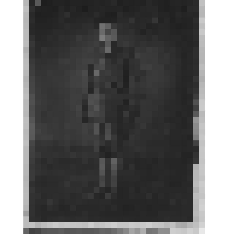 Фотография. Васильев Павел Яковлевич