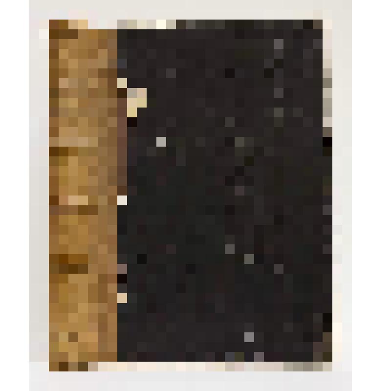 Книга. Handbuch der Pflanzenkrankheiten