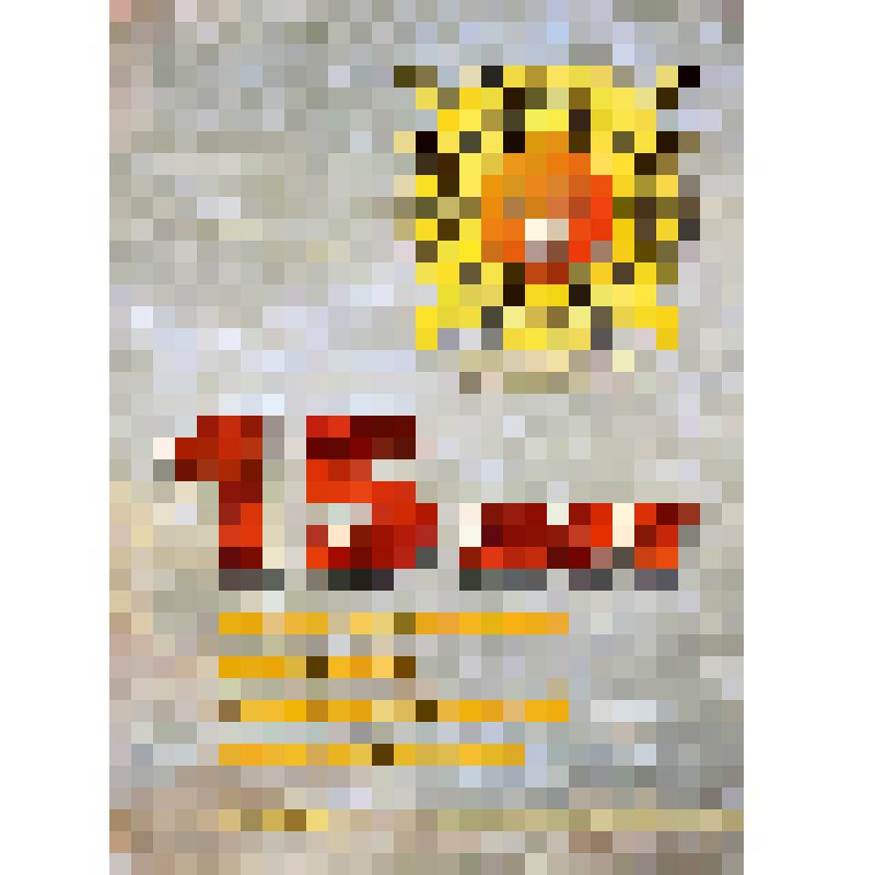 Брошюра, посвященная 15-летию создания подразделений по борьбе с организованной преступностью