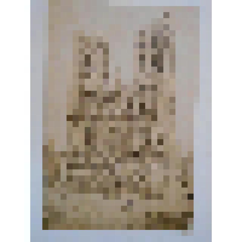 Церковь св. Михаила. XI-XV вв. Бельгия, г. Брюссель. Церковь св. Михаила. XI-XV вв. Общ. вид