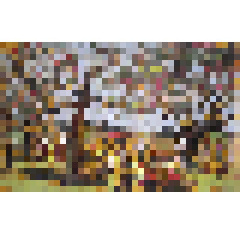 Этюд. Сад Гигант