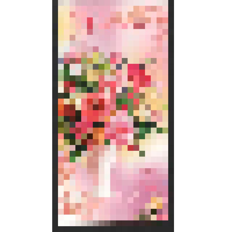 Поздравление семьи Разиных- Софи, Юлии и Альберта Богомоловой З.А. с  Днём рождения