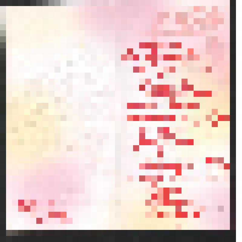 Поздравление семьи Разиных- Софи, Юлии и Альберта Богомоловой З.А. с  Днём рождения