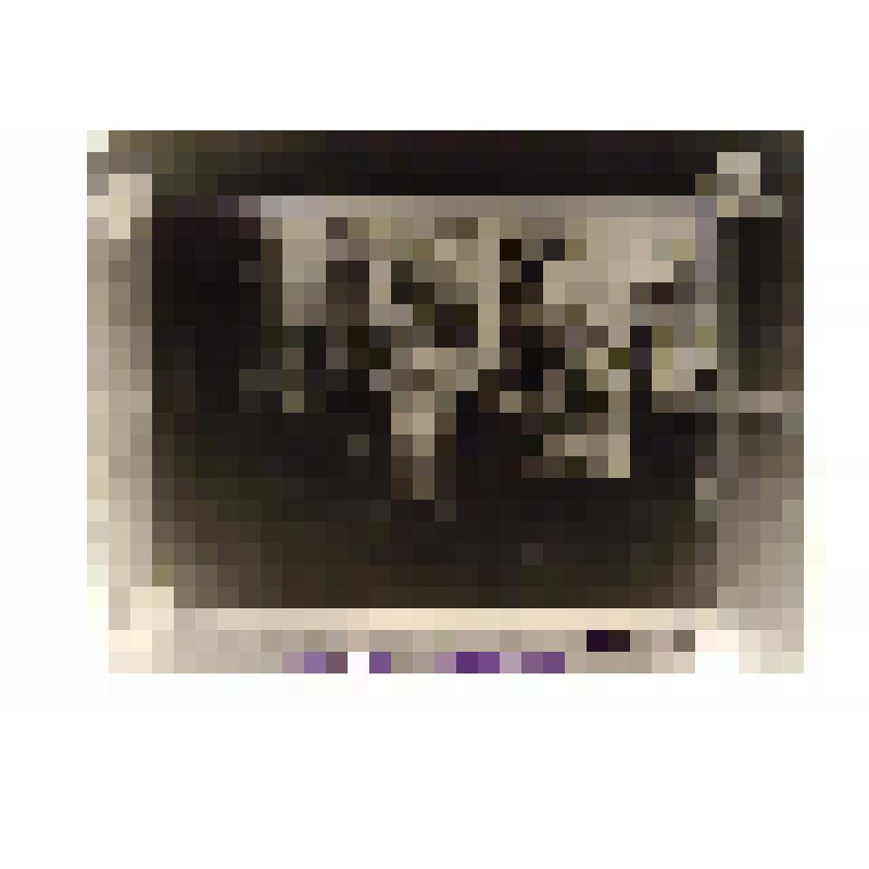 Негатив. Сборы на зимнюю охоту коми-пермяка. Репродукция фото кон. XIX в