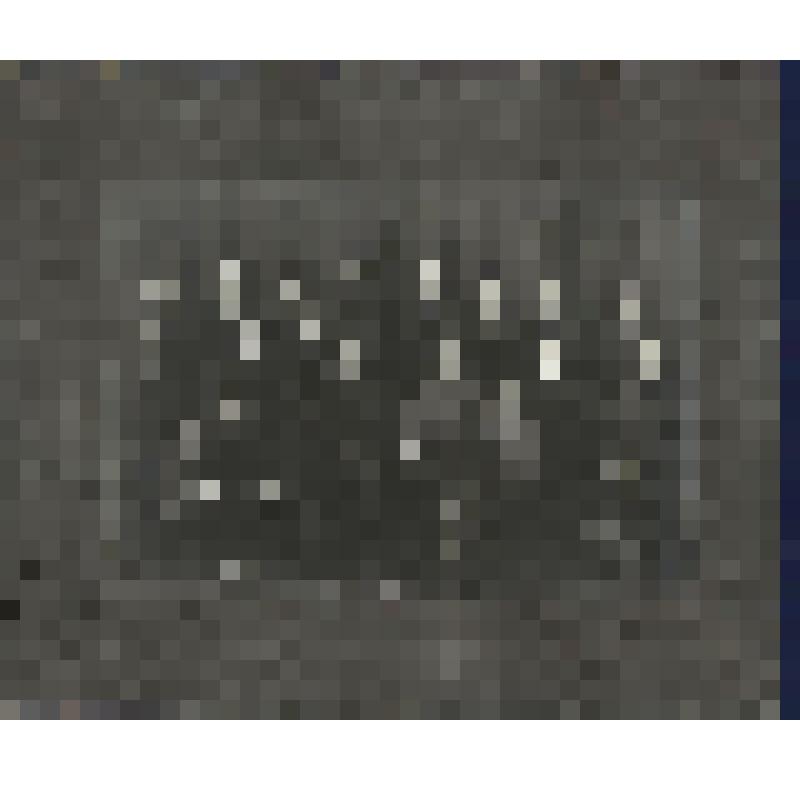 Фотография. Коллектив работников Новосибирской Музыкальной Кооперативной Промыслово-произведственной артели "Симфония"