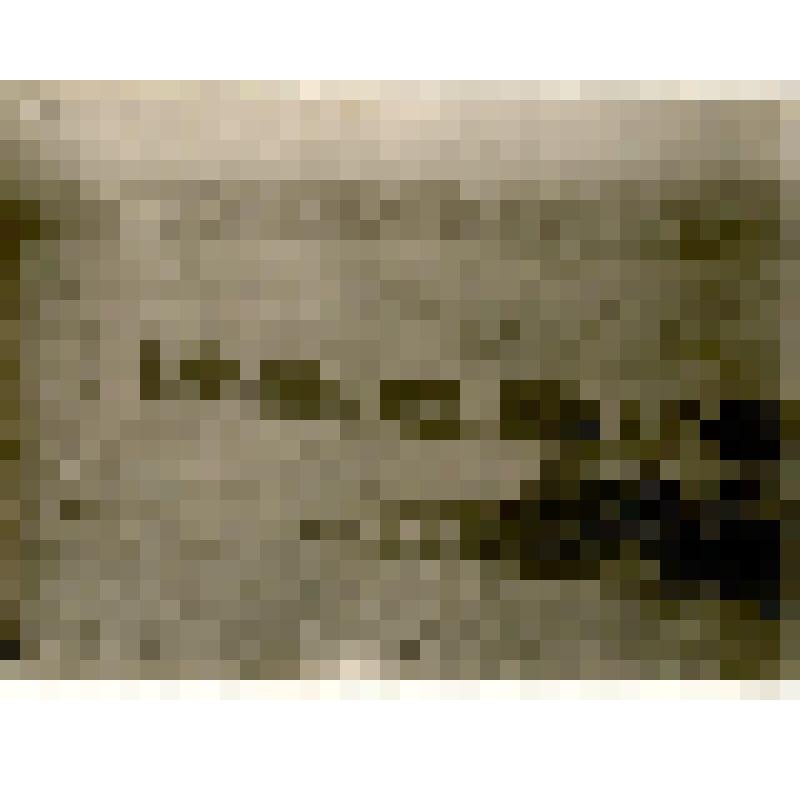 Фотография. Подвоз сена для скота в Кюсюр из района