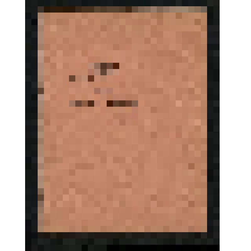 Брошюра: Программное обепечение персональных электронных вычислительных машин единой системы. ПО ППЭВМ Е1.00028-01 N 14893 Формуляр. Папка N 1. Е1.00028-01 30 01. Б.М., 1987, 21 с. с табл