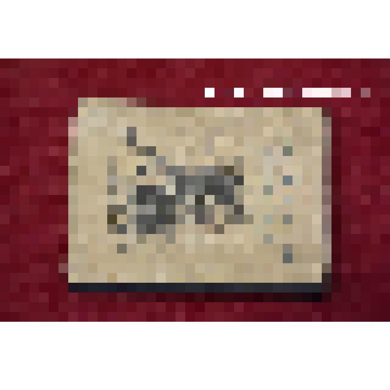 Книга. Соловьев Л. Степан Полосухин: повесть