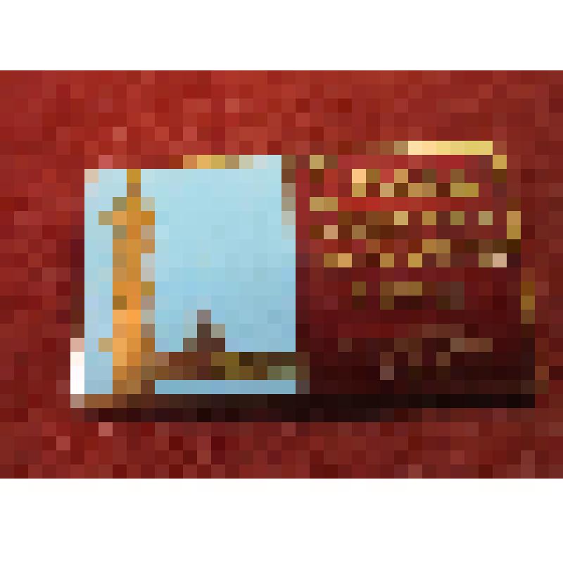 Значок. I съезд акушеров-гинекологов РСФСР