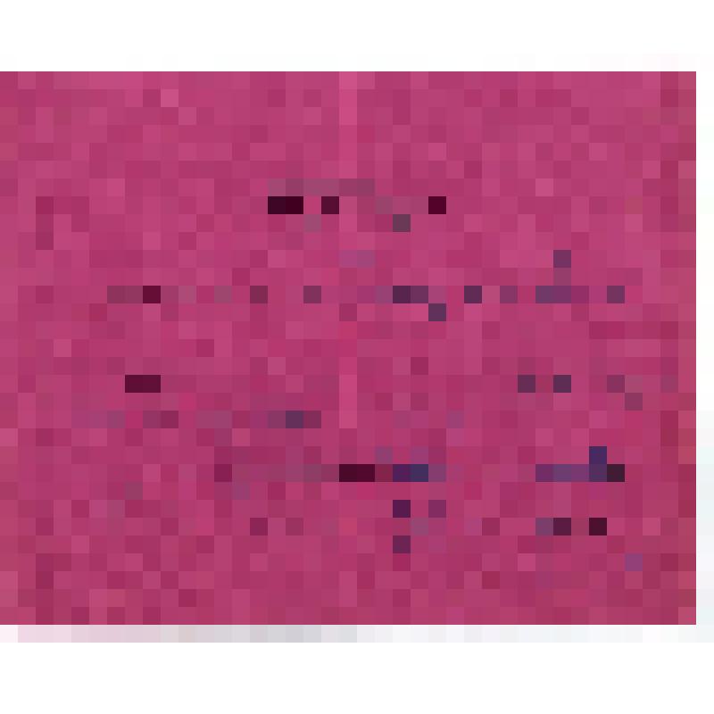 Мандат фракционный XX Чистопольского партсъезда №19, 1928 г