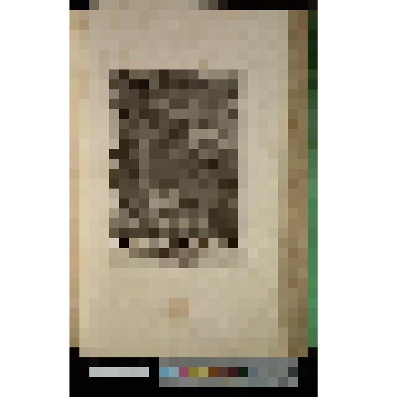 Навуходоноссор - пленник в хлеву