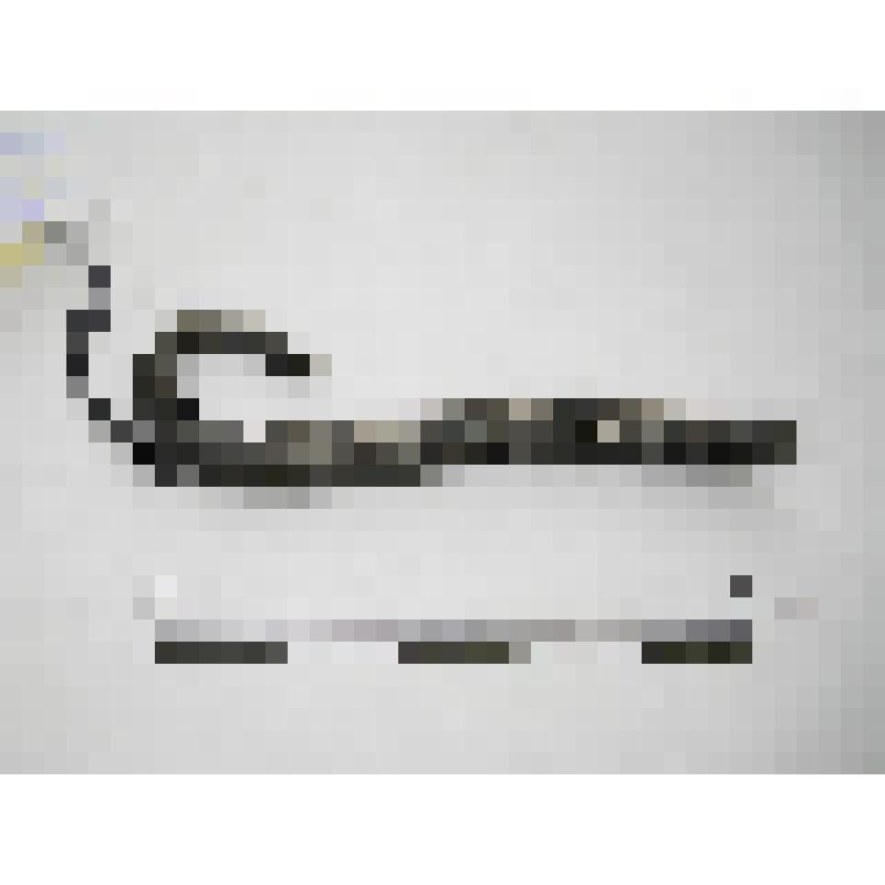 Фрагмент удил