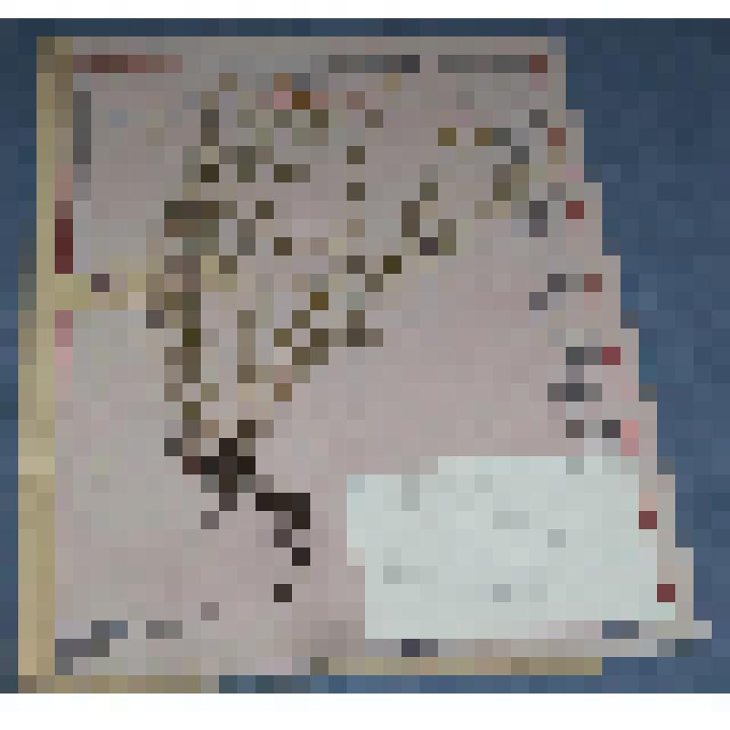 Ботаническая коллекция. Гвоздика зорька, семейство гвоздичные, на гербарном листе,остров реки Тубы. Caruophullaceae P. Dianthus  B. Zychis