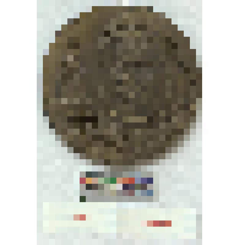 СССР. Медаль. В память первого полета человека в космос