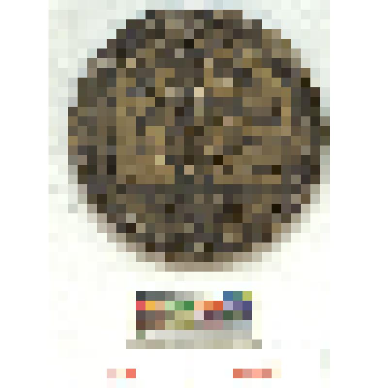 СССР. Медаль. Международный конкурс вин в Тбилиси. 1965 г