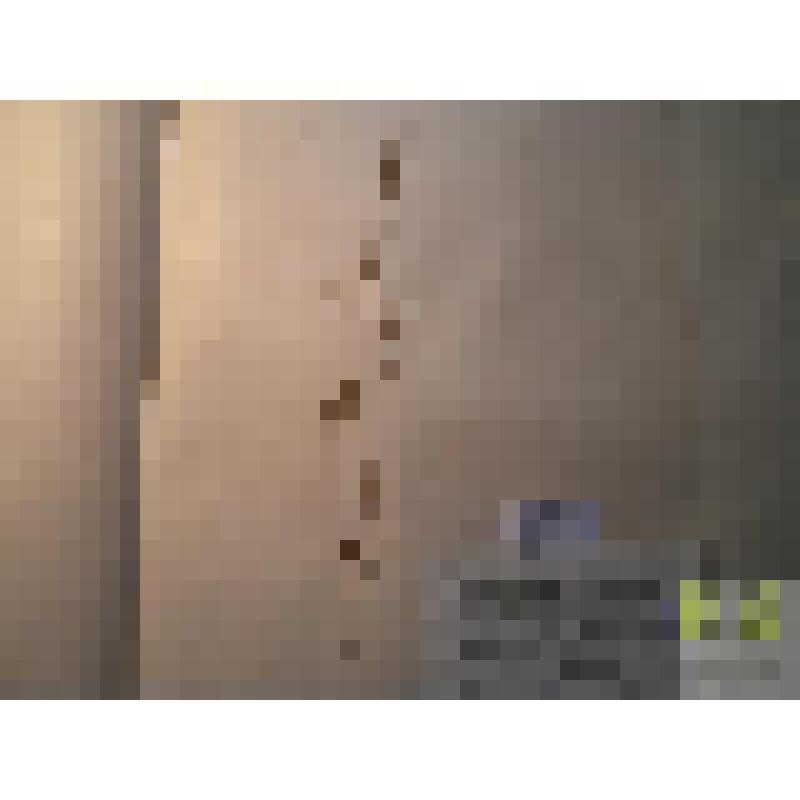 Дескурайния Соффии (Descurainia Sophia (L) Webb et Berth.)