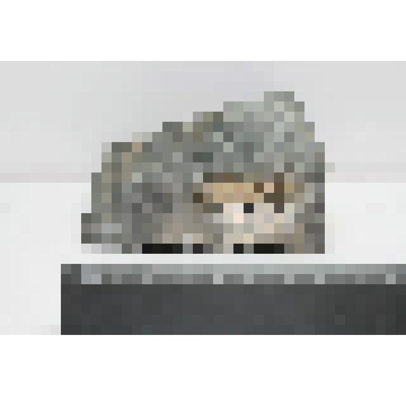 Магматические породы. Диабаз темно-серый