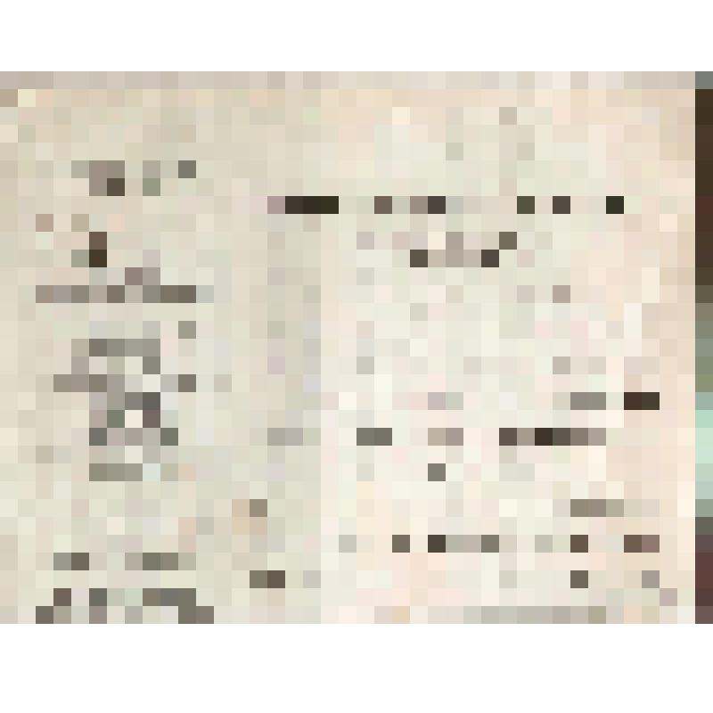 Бланк квитанции на уплату счета Н.П.Алина, г. Чердынь Пермской губ