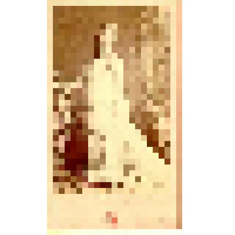 Фотография. Мокур, артистка оперетты