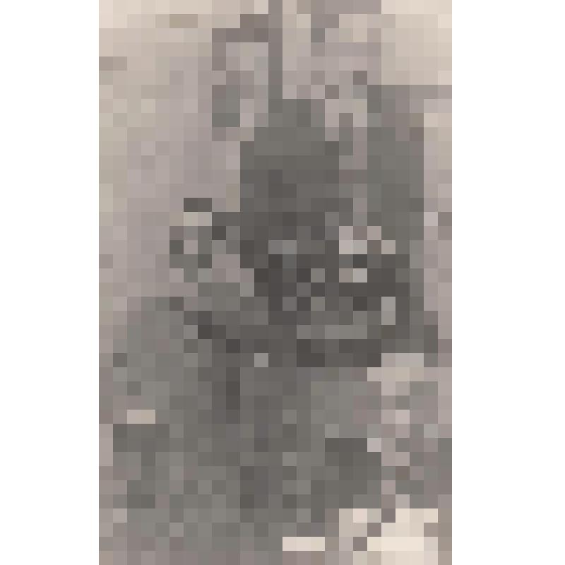 Фотография. Кассиль Л.А., неизвестная