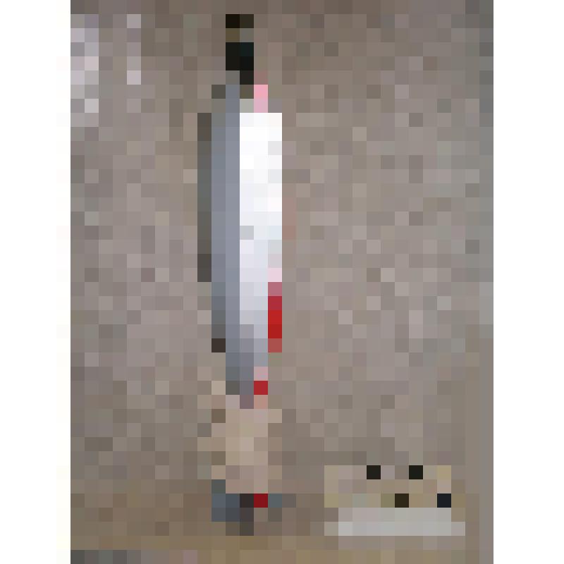 Выстрел 120 мм ВОФ-57 с миной ОФ-36 к 2С12 разрезной