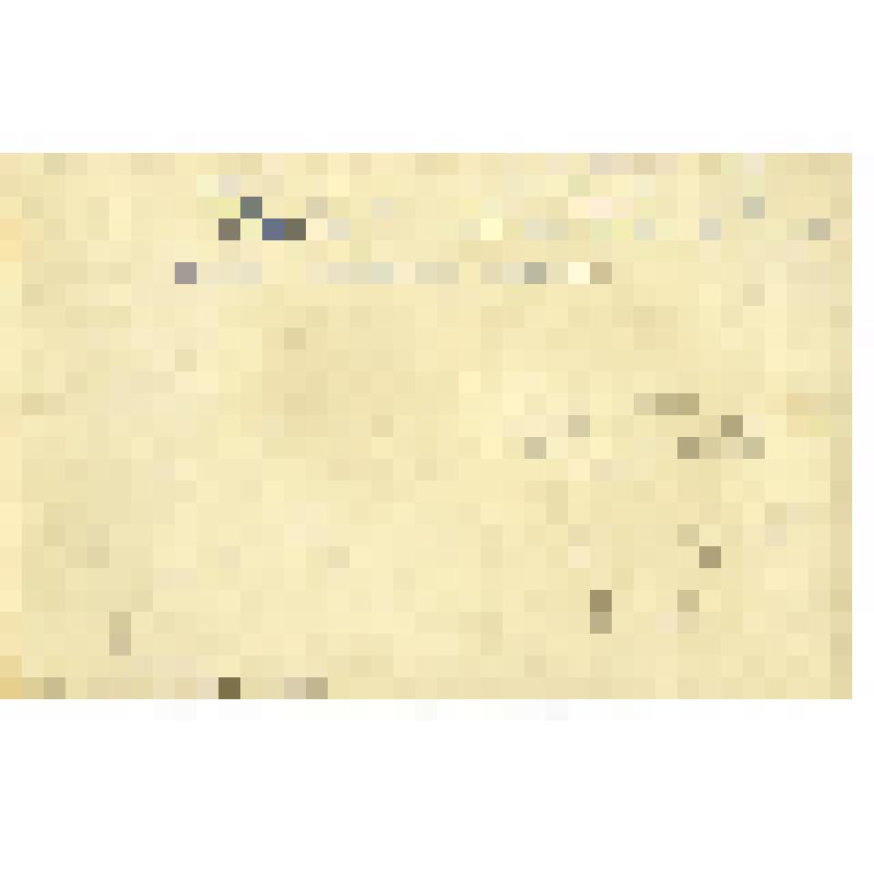 "Первый парник в Анадырской колхозных кадров". Фотография черно-белая