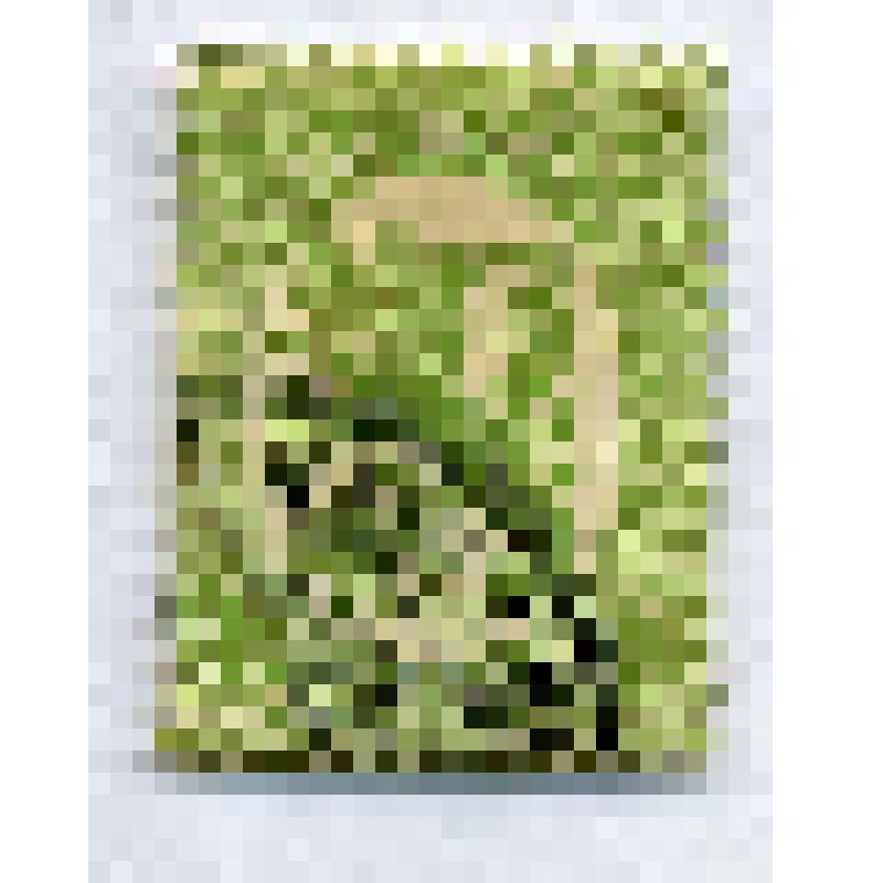 Марка почтовая. Герб Финляндии. 30 пенни