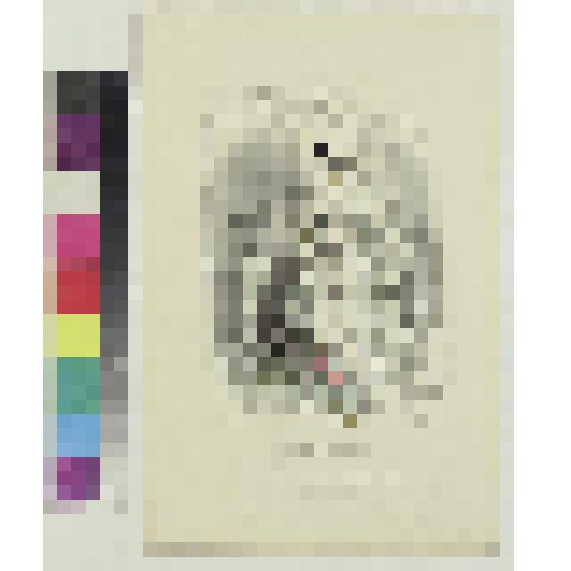 Померанцевый цветок. Лист из альбома "Цветы", гравюра