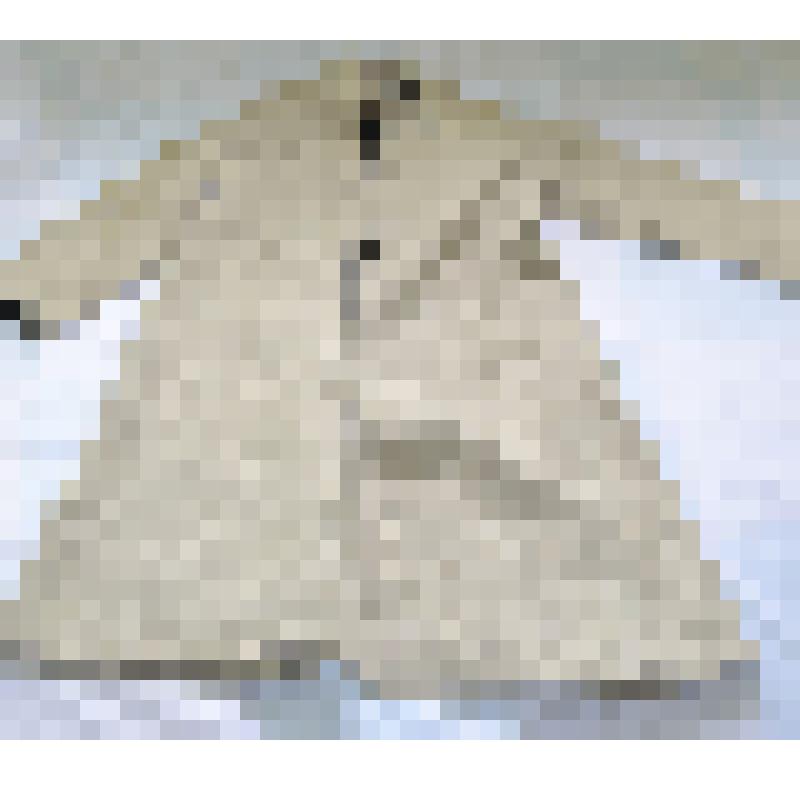 Сукман мужской