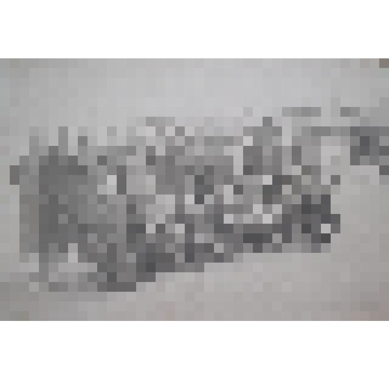 Фотография. «Мы у реки Волга». Из набора фотографий «По следам Ленина»