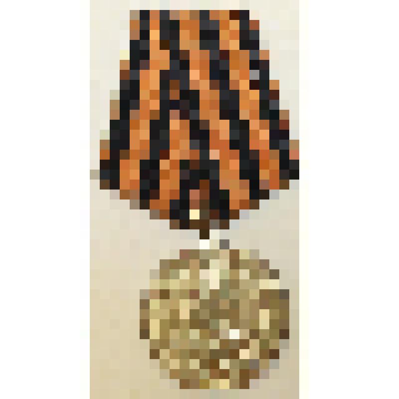 Медаль «За победу над Германией в Великой Отечественной войне 1941—1945 гг.» ТКМ-1735/5