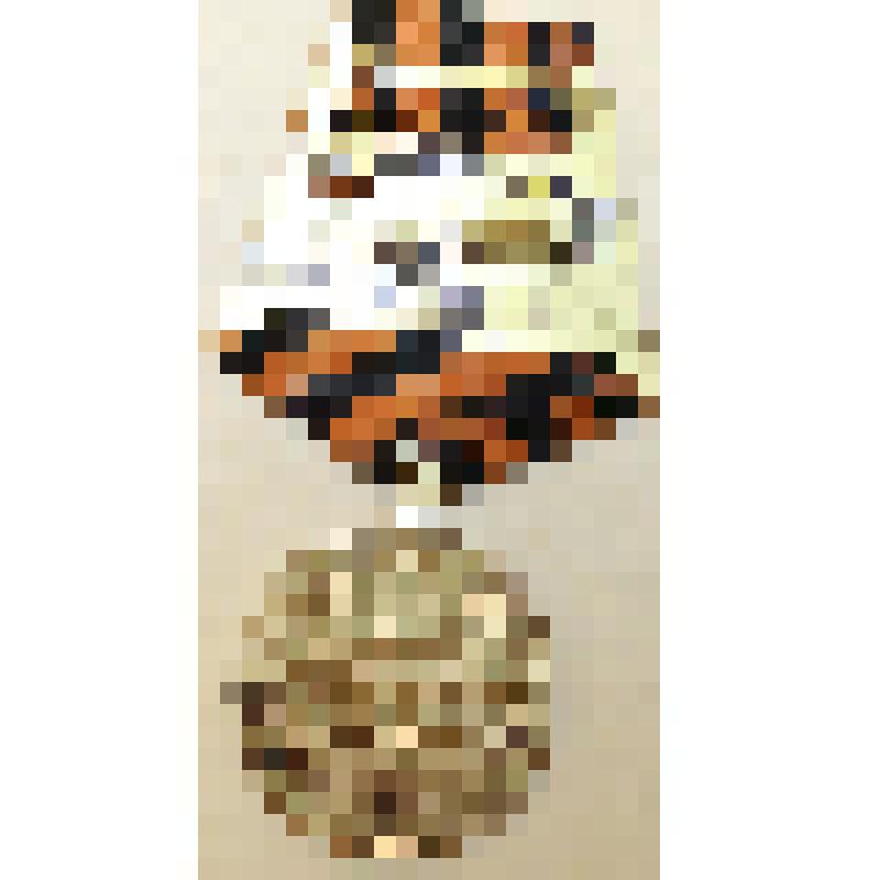 Медаль «За победу над Германией в Великой Отечественной войне 1941—1945 гг.» ТКМ-1735/5