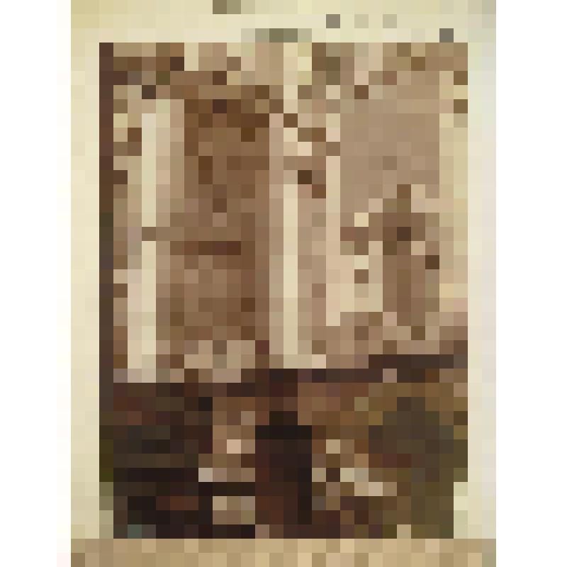Церковь Тихвинской Богоматери в Алексеевском. Ул. Церковная горка, 26а (Проспект Мира, 130). 1676-82 гг., 1824 г. г. Москва. Тихвинская церковь в Алексеевском. Фрагмент южного фасада