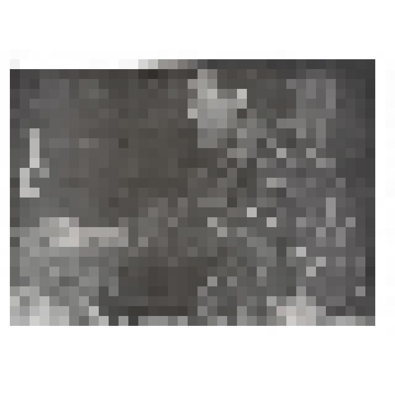 Фотография ч/б. Руднев А.Н., брат Руднева Н.Н. – в профиль, с кистью в руке