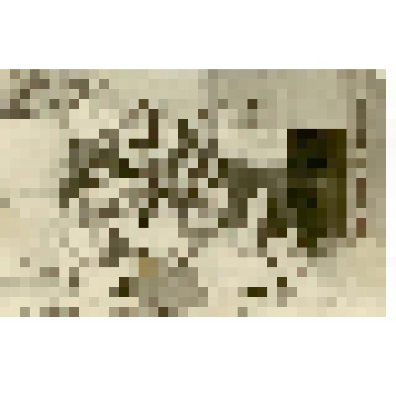 Фотография. Филиппова Евгения Ивановна c труппой Саратовского театра оперы и балета