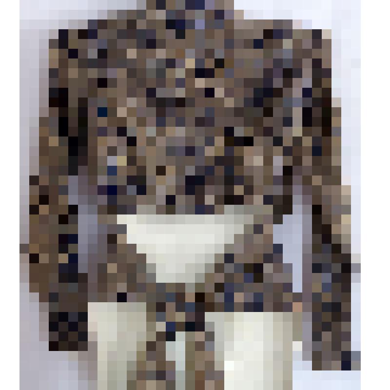 Блузка "фигаро" из трехпредметного женского костюма. Миньяр. Начало ХХ века