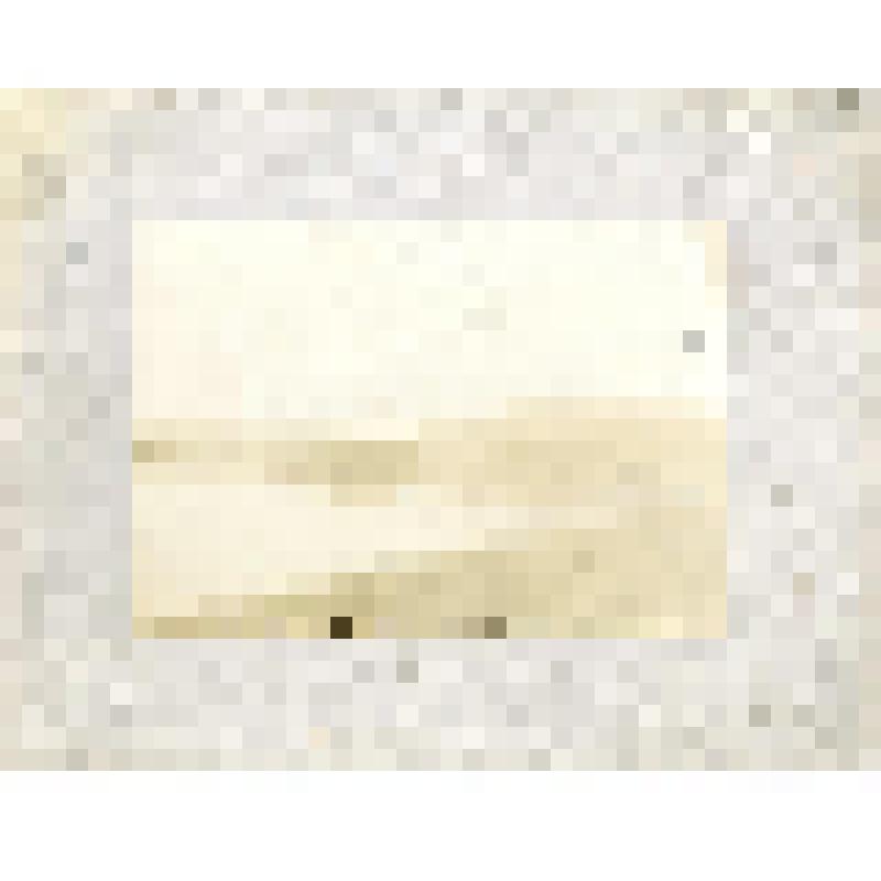 Фотография. Река Олекма. Один из островов среднего течения 1916г