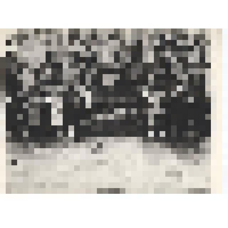 Фотография. Гребенщиковой Анна Васильевна в группе ветеранов Великой Отечественной войны Вологодской области у вечного огня