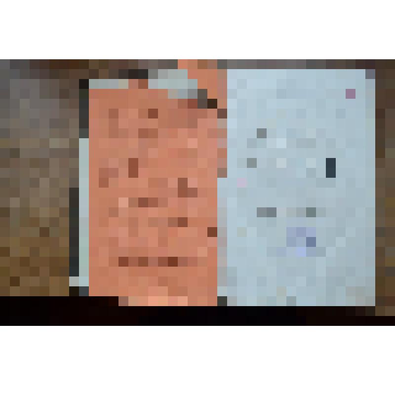 Журнал. Вестник Европы-март 1879-СПб:тип. Стасюлевича,1879