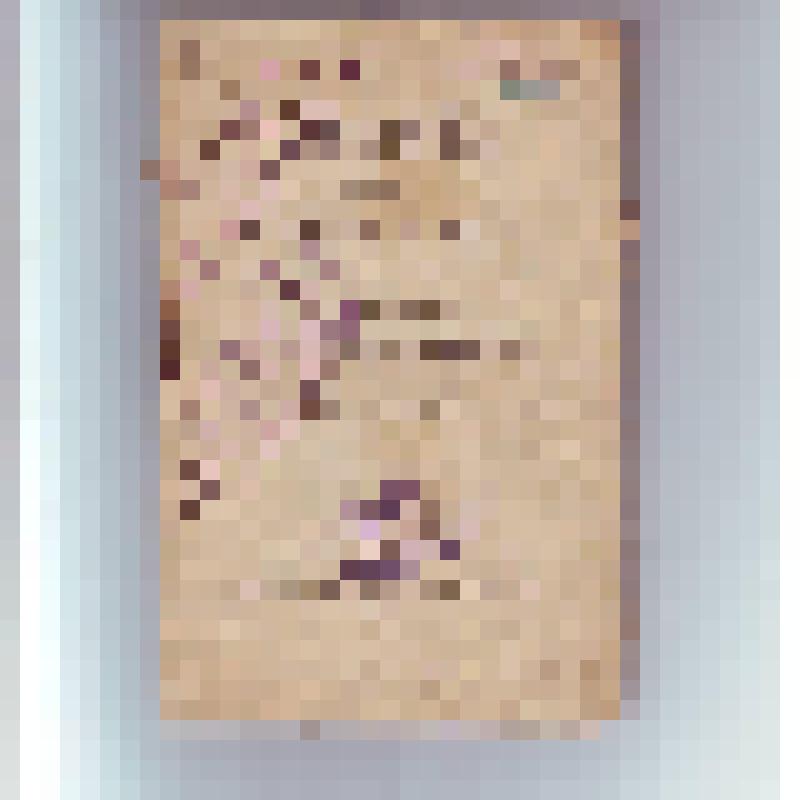 Песенник "Хоровод "