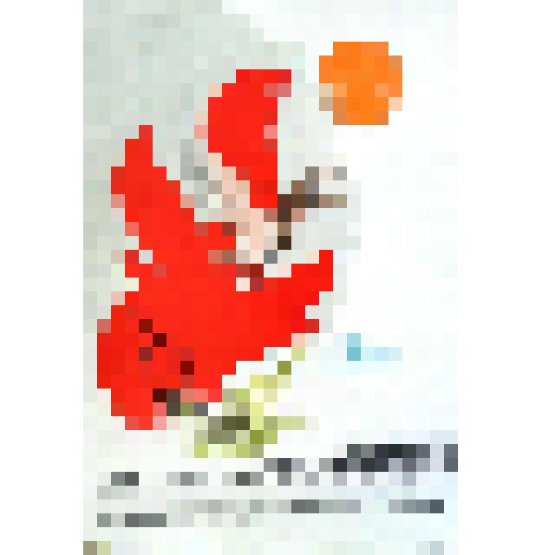 Плакат. "Охотники и любители природы! Охраняйте угодья от пожаров. Пожарами уничтожаются гнезда полезных птиц!"