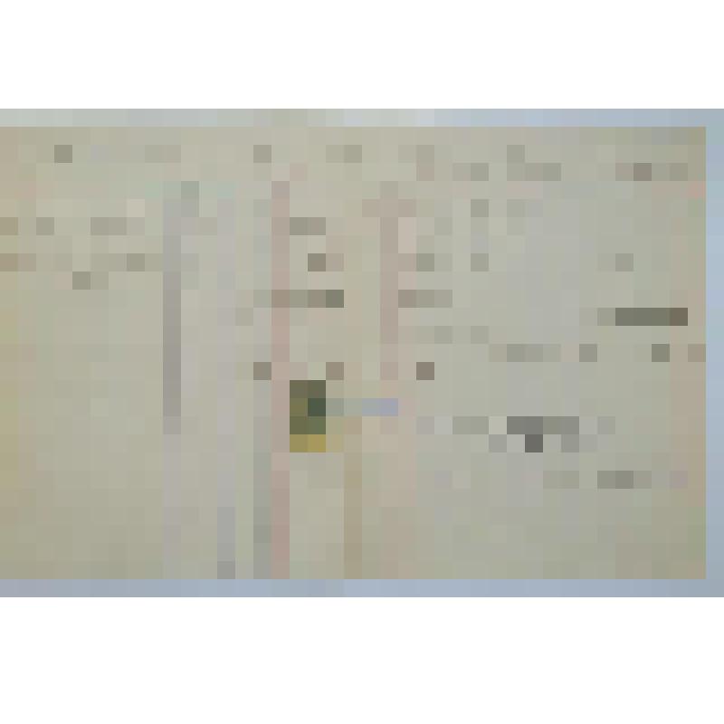 Промышленное и Торговое Товарищество "Владимир Алексеев". Текущий счет  Константина Сергеевича Алексеева (Станиславского) за 1901 г