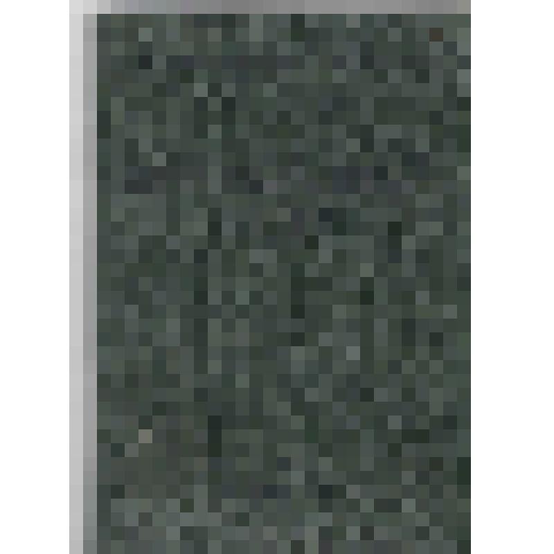 Билет профсоюзный (работников культуры) №33319239 Тимошенко Л.С. (с вкладышем)