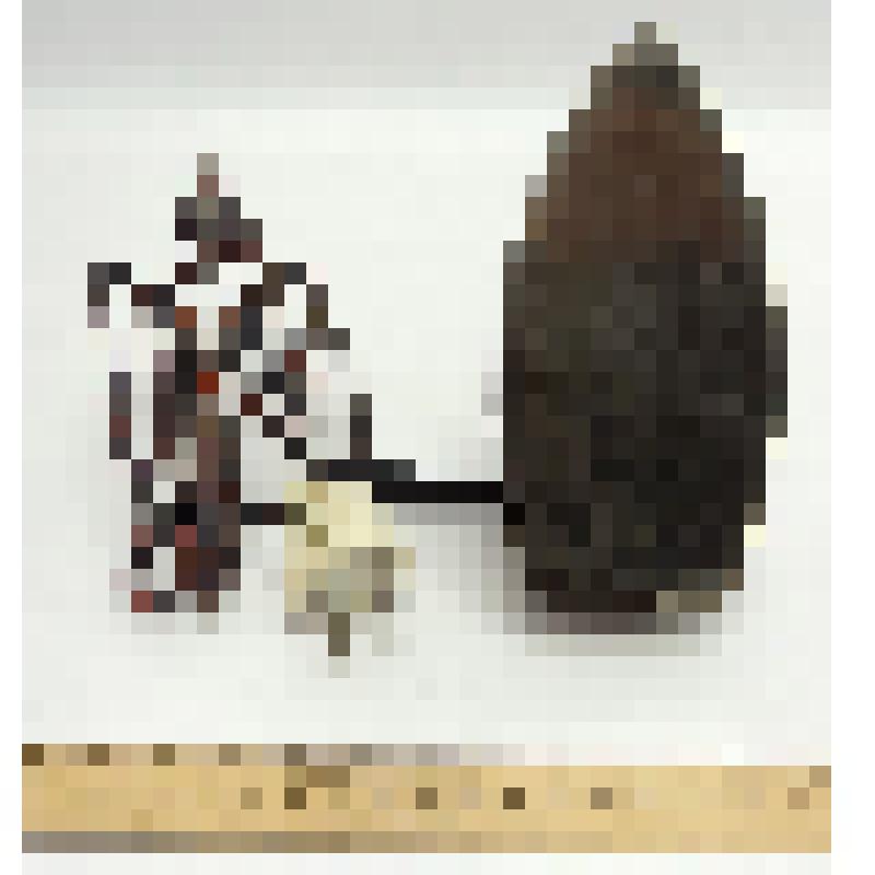 Утюг Тегенцева Владимира Петровича, ветерана Великой Отечественной войны