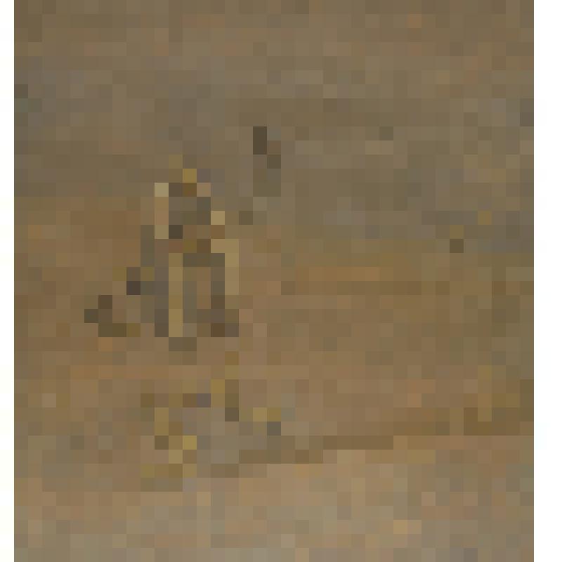 Утро на пляже