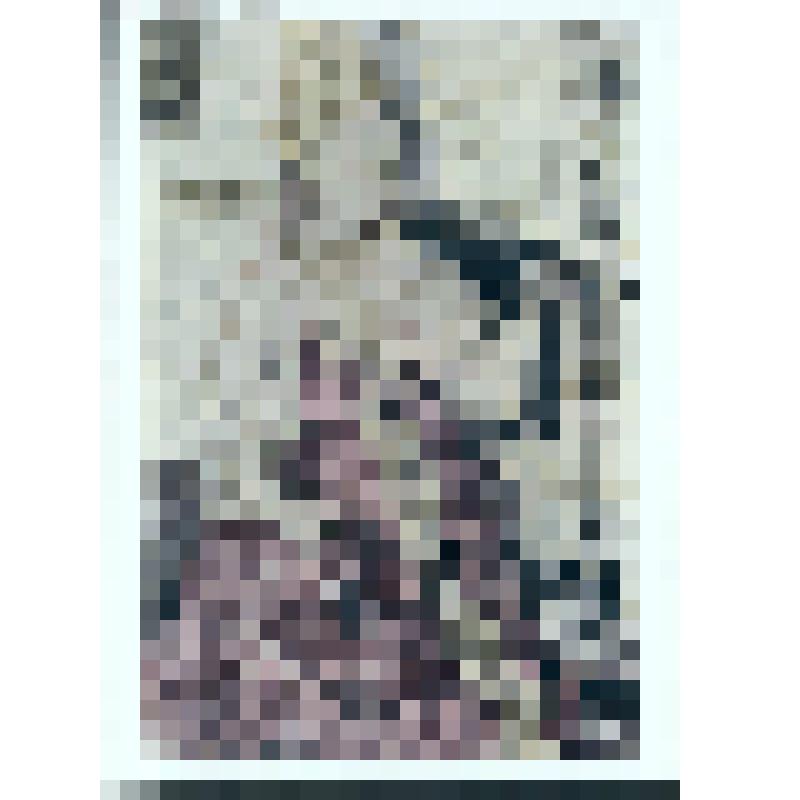 Беломорье. Крестьянка в старинном штофнике. 1931 г. ГТГ. Репродукция работы худ. Рождественского В. В