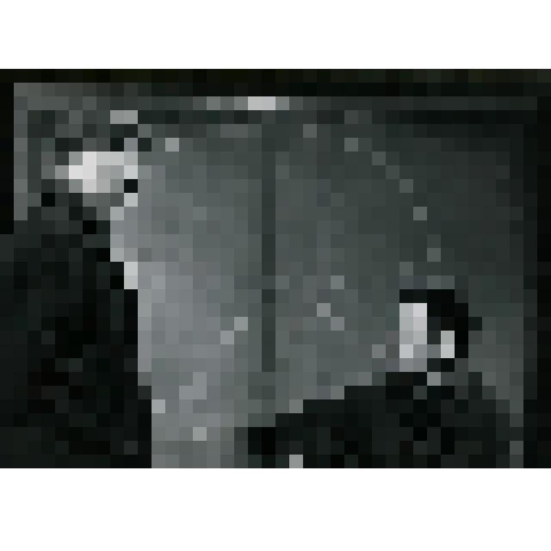 Фотография. Сцена. "Они и мы" (пост. А. Эфроса, худ.). Москва, Центральный детский театр