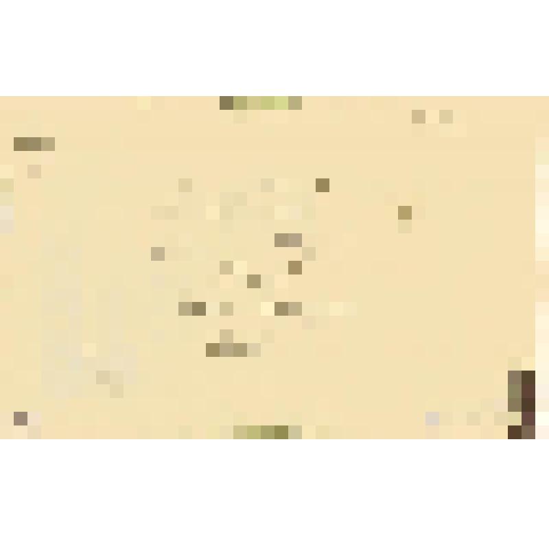 Эскиз декорации IV акта к спектаклю "Волки и овцы". Режиссер Ю. Юрский. Театр комедии